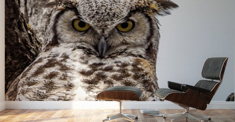 GHO Double Wall Murals