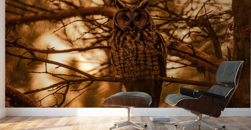 LEO Sunset Wall Murals