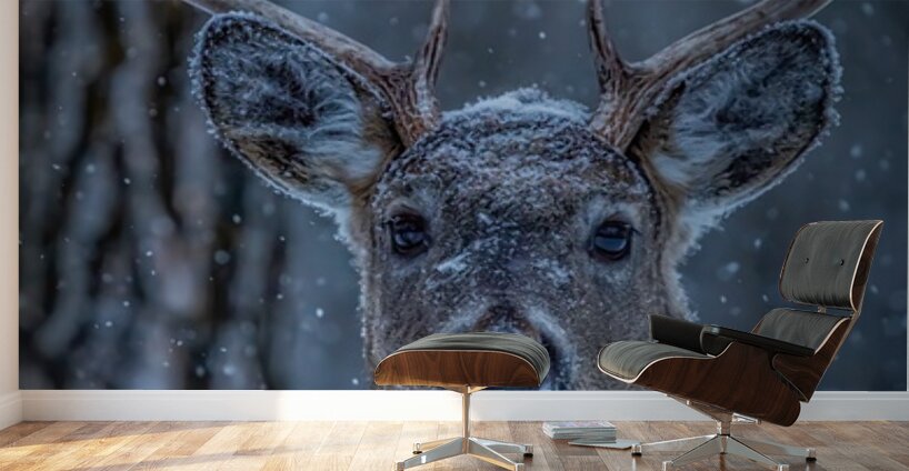 Buck Portrait 2 Wall Murals