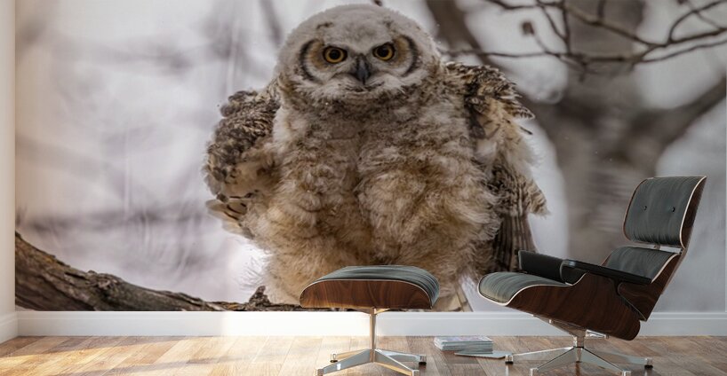 GHOwlet 2 Wall Murals