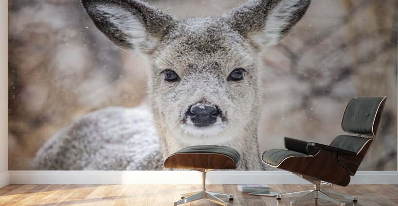Cute Deer Wall Murals