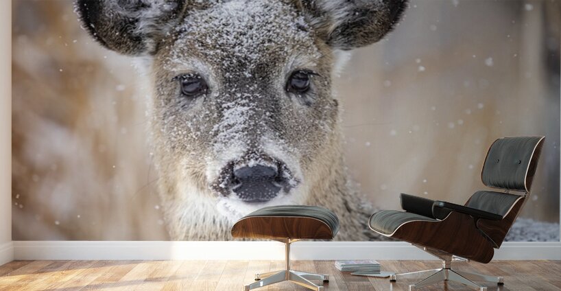 Cute Deer 2 Wall Murals