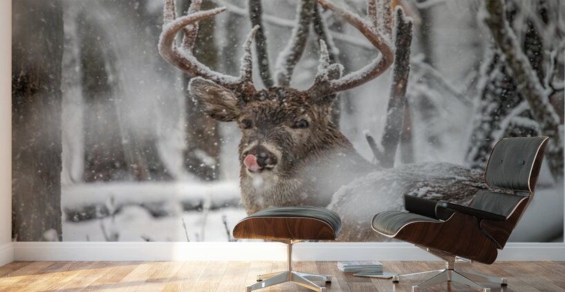 Buck Snowy Day Wall Murals