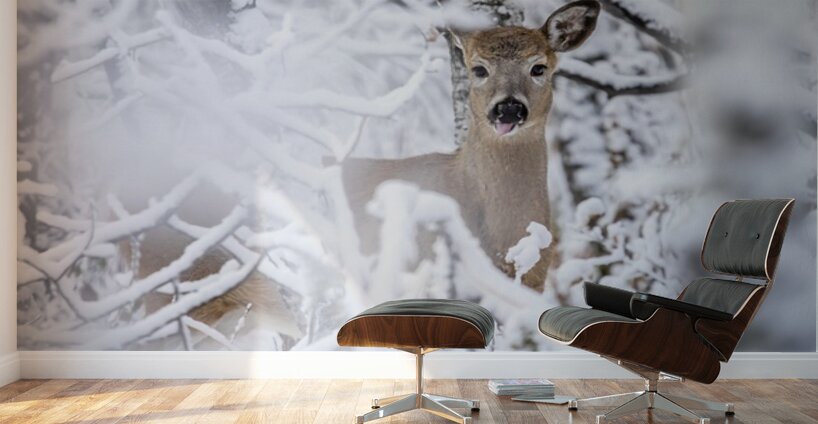 Deer Winter Wonder Wall Murals