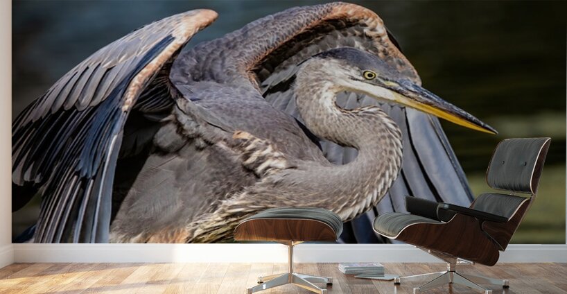 Blue Heron 2 Wall Murals