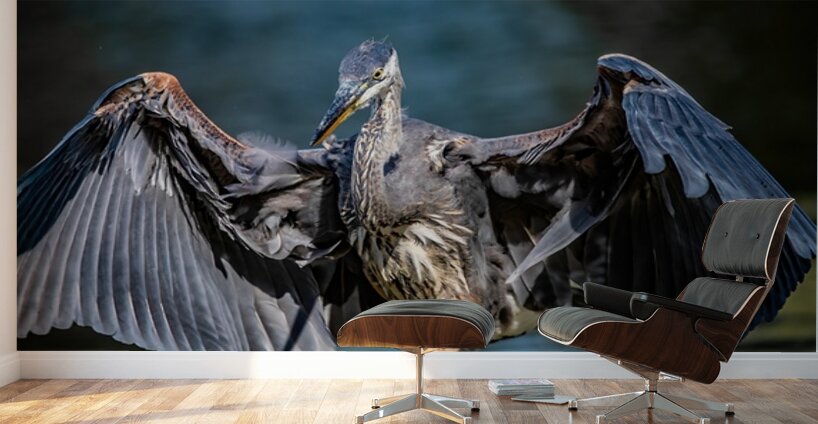 Blue Heron 2 Wall Murals