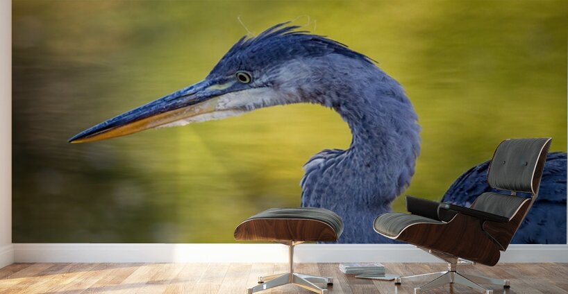 Blue Heron 4 Wall Murals