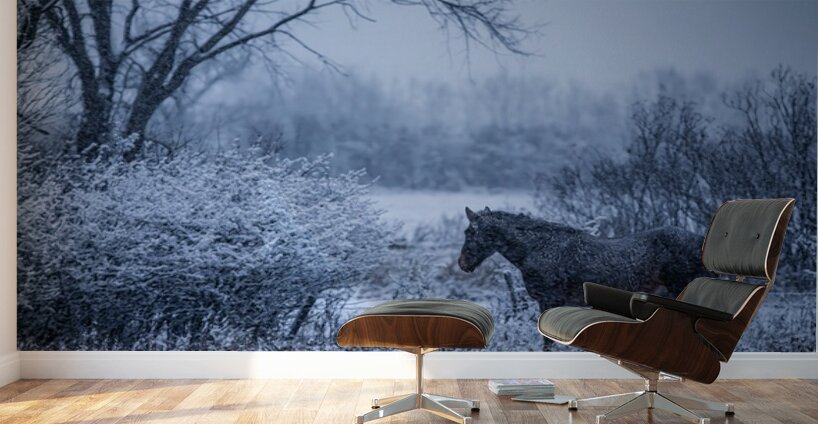 Horse Farm Wall Murals