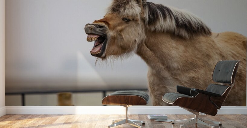Horse Smile Wall Murals