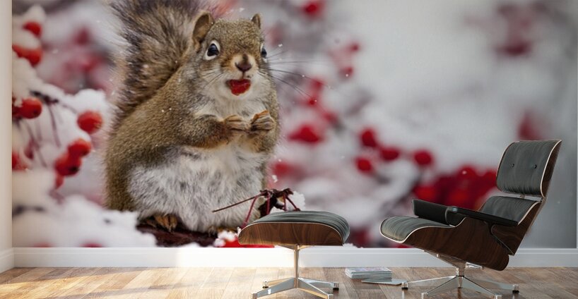 Red Squarel 3 Wall Murals