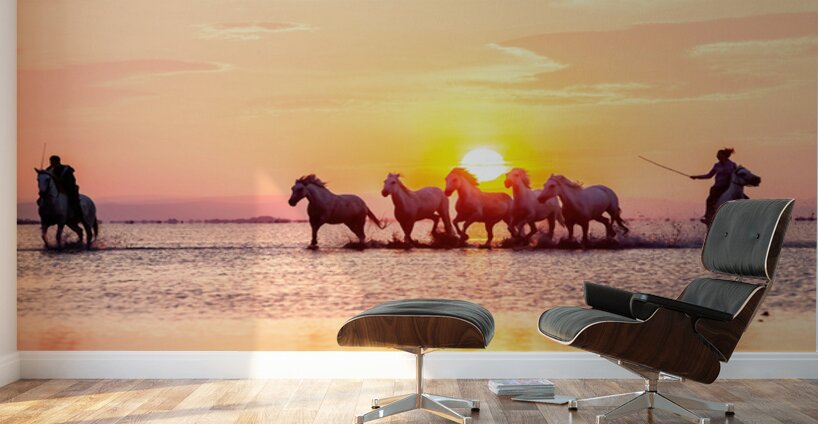 Camargue Horses Sunset Wall Murals