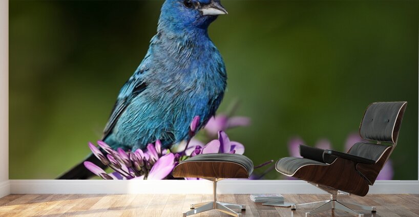 Indigo 2 Wall Murals