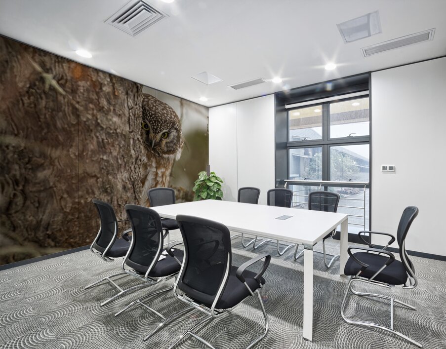 Boreal Owl Peekaboo Wall Printing