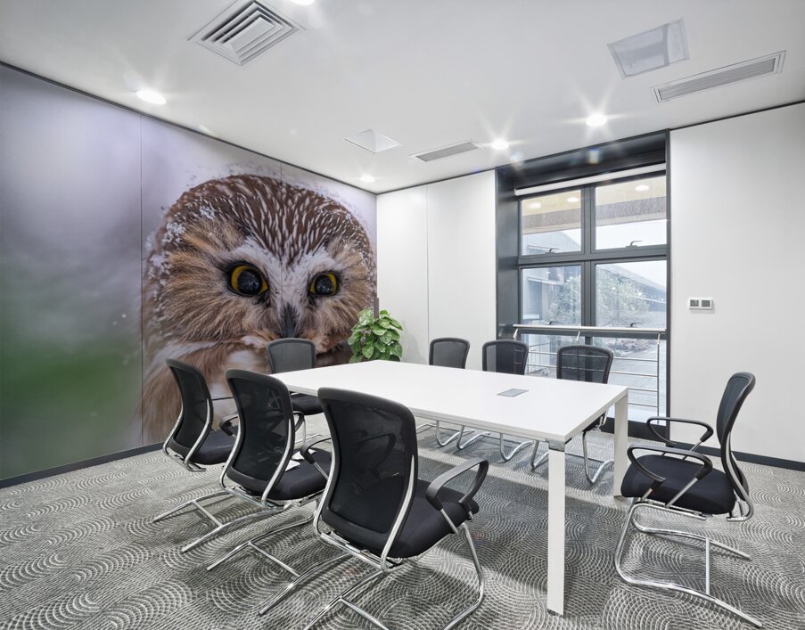 Saw Whet Owl Wall Printing