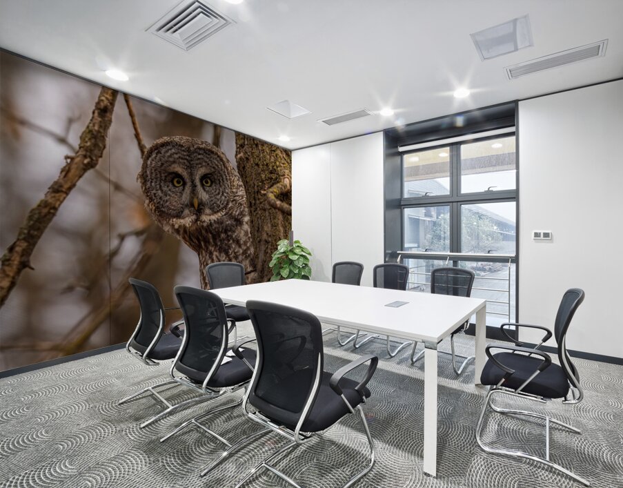 GGO 5 Peekaboo Wall Printing