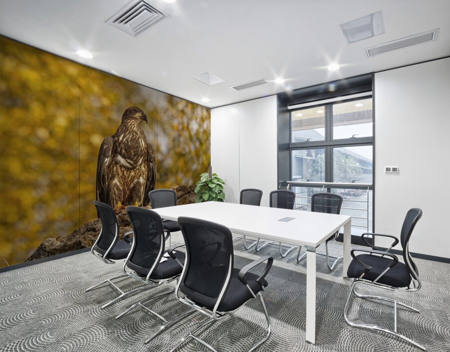 Bald Eagle Fall Time Wall Printing