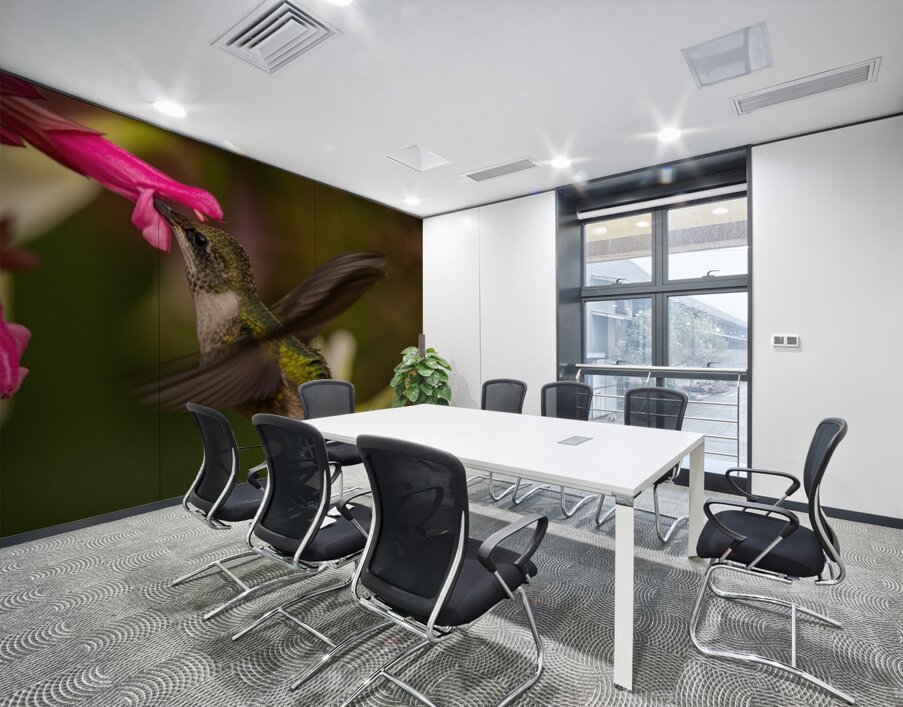 Hummingbird 2 Wall Printing