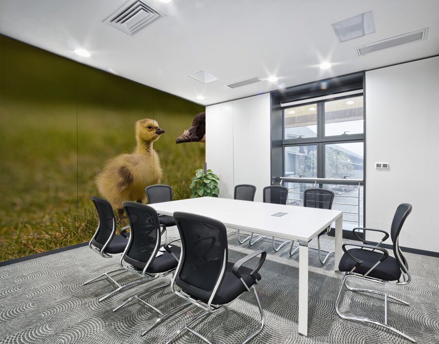 Gosling Story Wall Printing