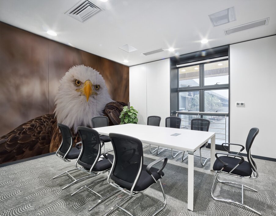 Bald Eagle Portrait Wall Printing