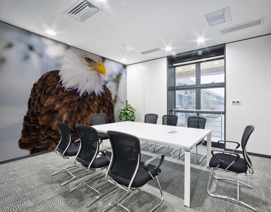 Bald Eagle Winter Wall Printing