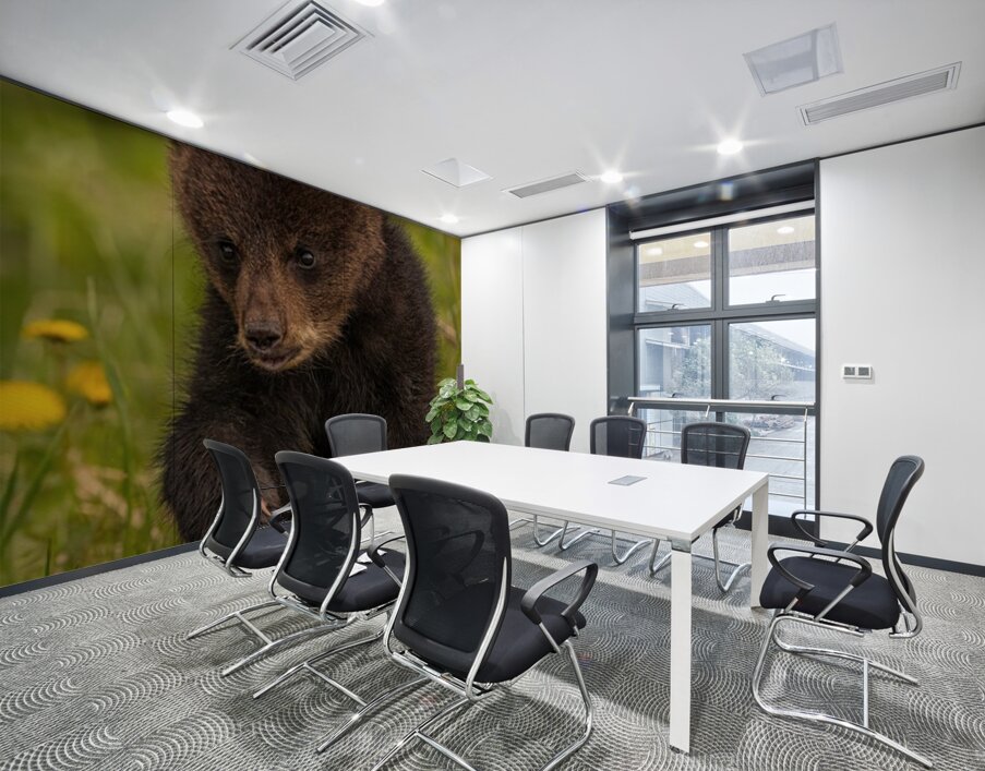 Black Bear Cub Wall Printing