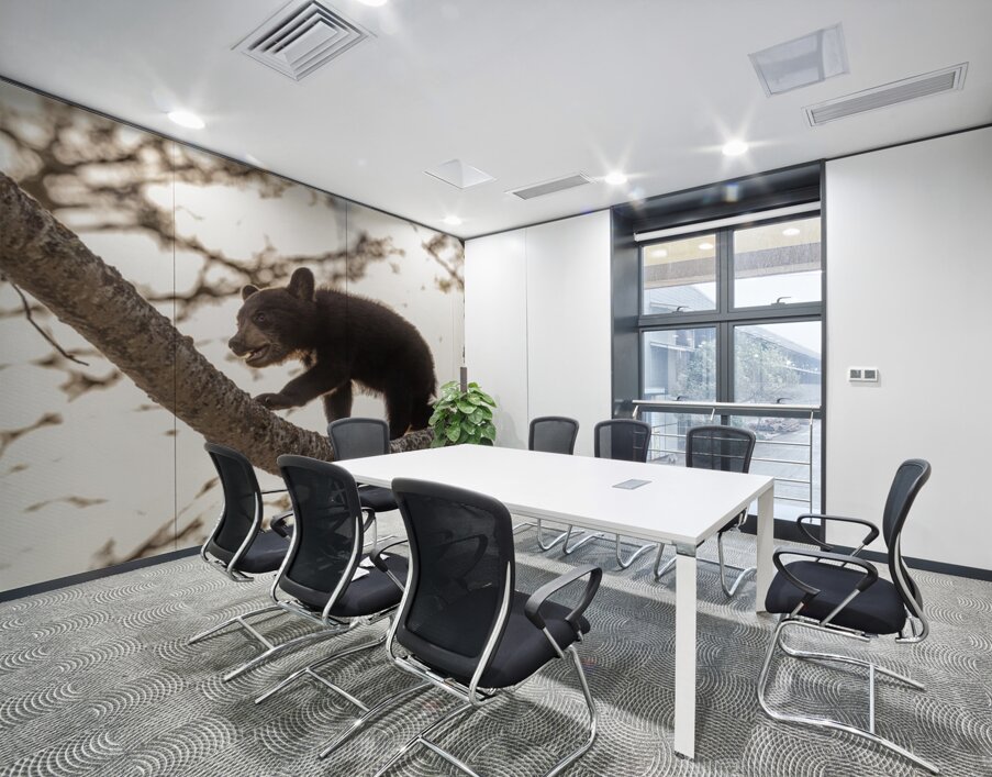 Black Bear Cub 2 Wall Printing