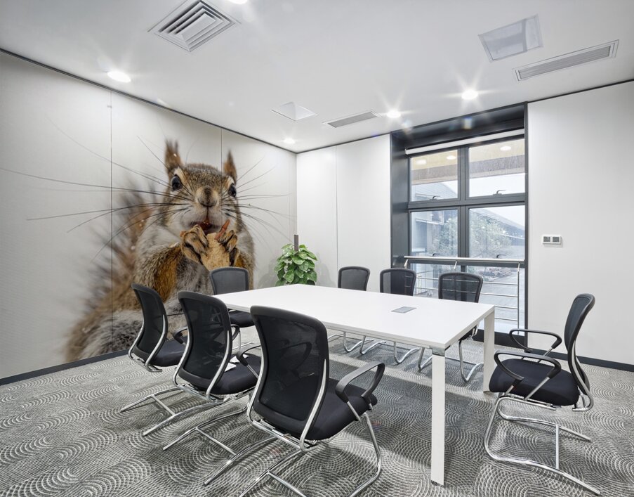 Red Squirrel Wall Printing