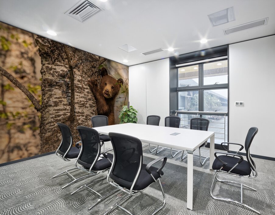 Black Bear Cub 3 Wall Printing