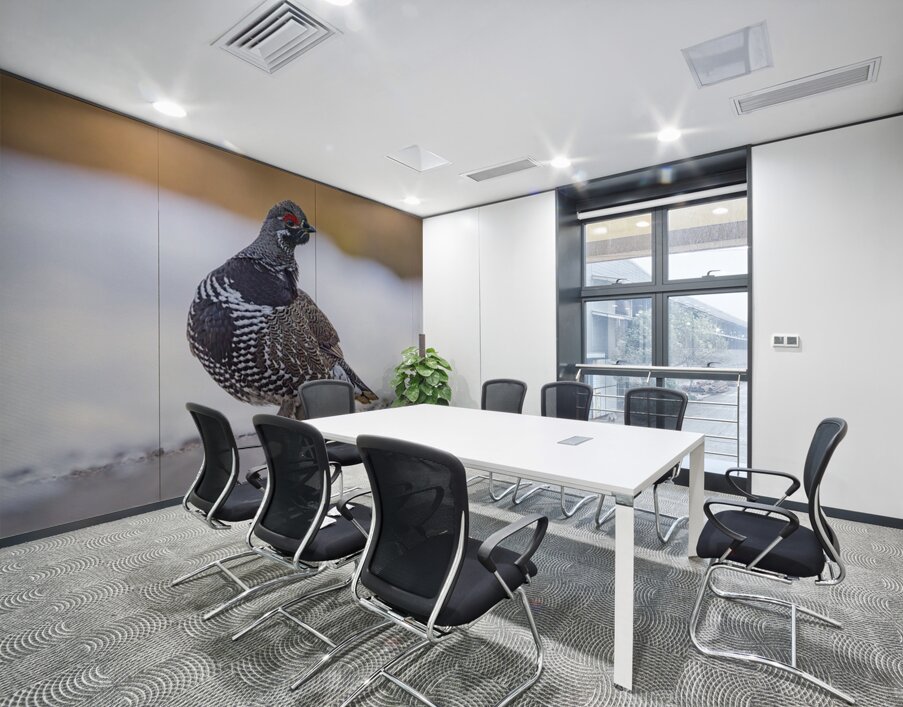 Spruce Grouse Wall Printing