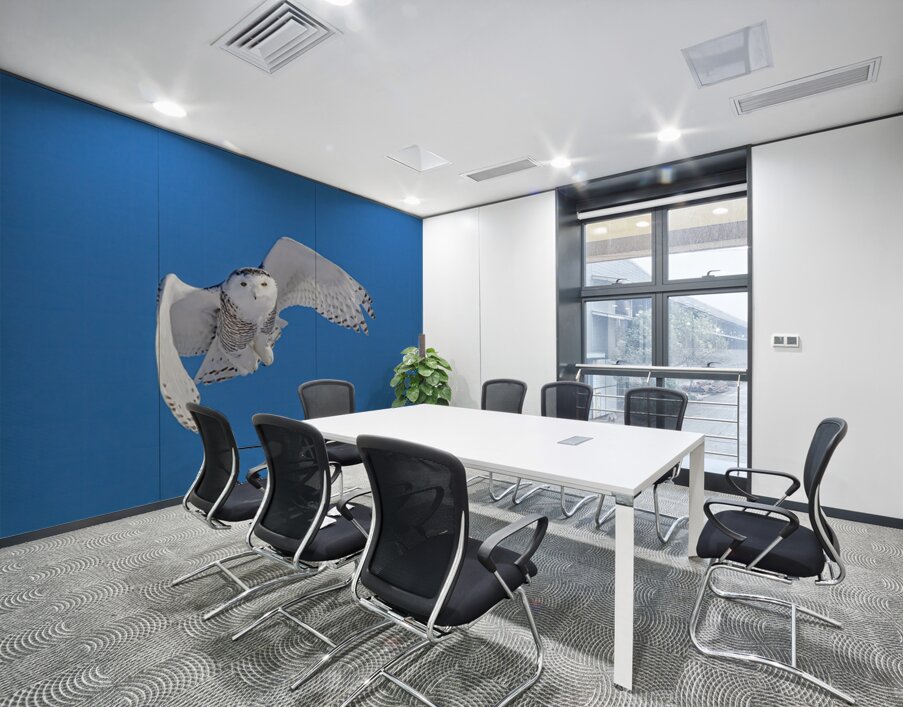 Snowy Owl Wall Printing