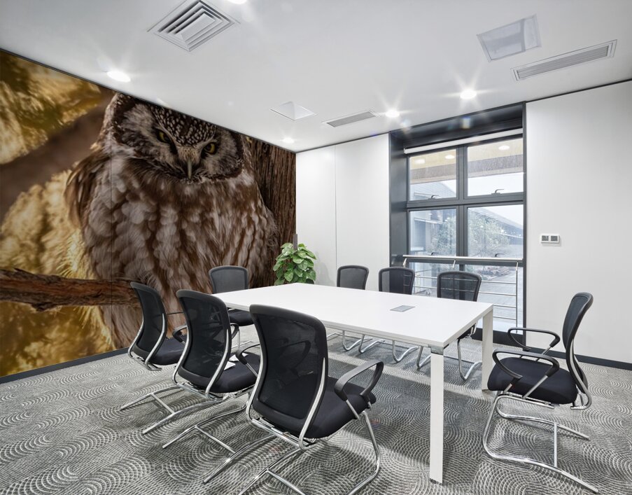 Boreal Owl Wall Printing