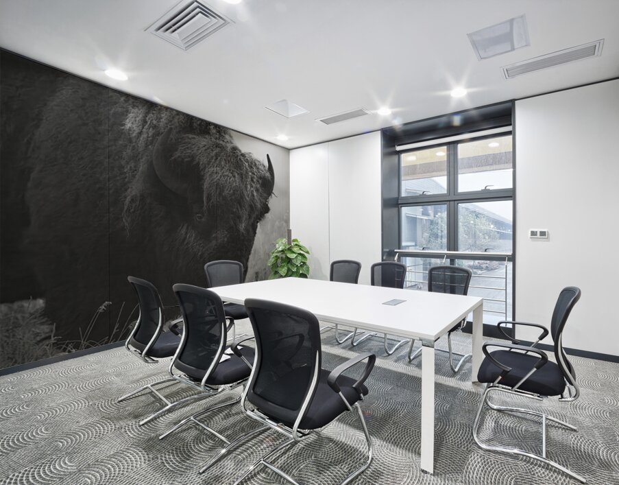 Bison BW Wall Printing