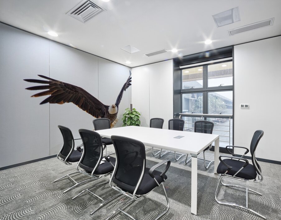 Bald Eagle Wall Printing