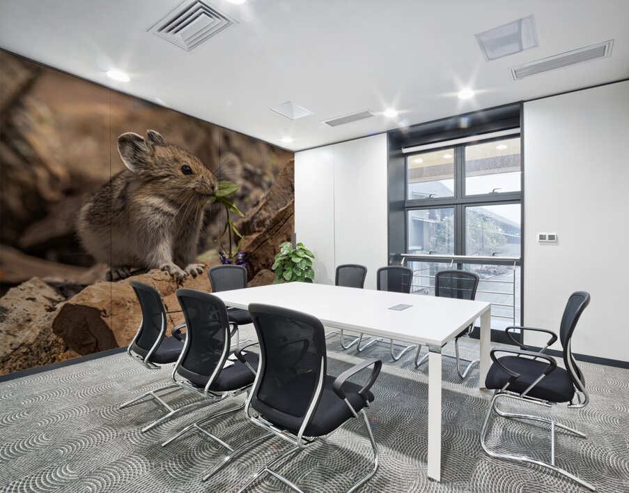 Cute Pika Wall Printing