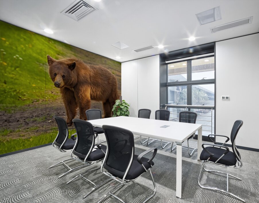 Black Bear 2 Wall Printing