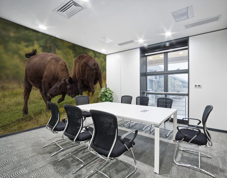 Bison Fight Wall Printing