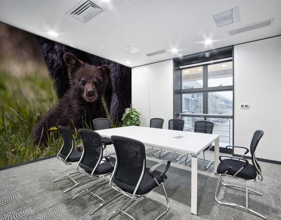 Black Bear Cub 4 Wall Printing