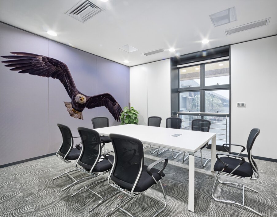 Bald Eagle 3 Wall Printing
