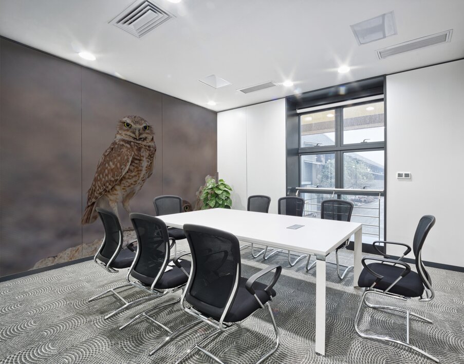 Burrowing Owl Wall Printing