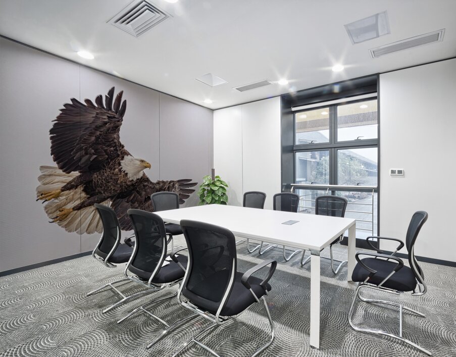 Bald Eagle 4 Wall Printing