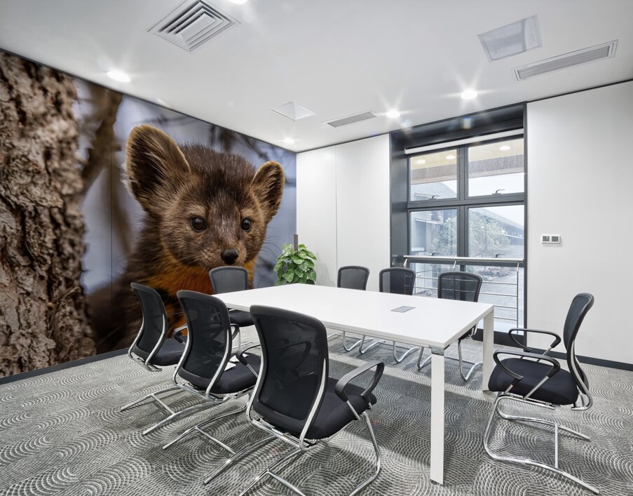 Pine Marten Portrait Wall Printing