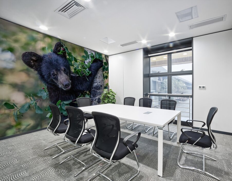 Black Bear Cub 5 Wall Printing