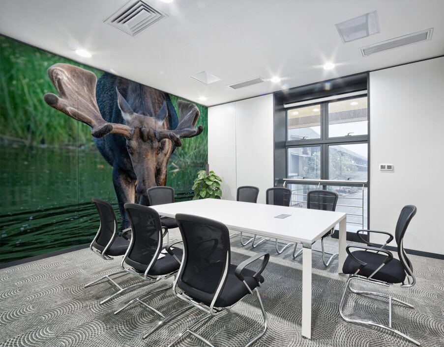 Big Boy 2 Wall Printing