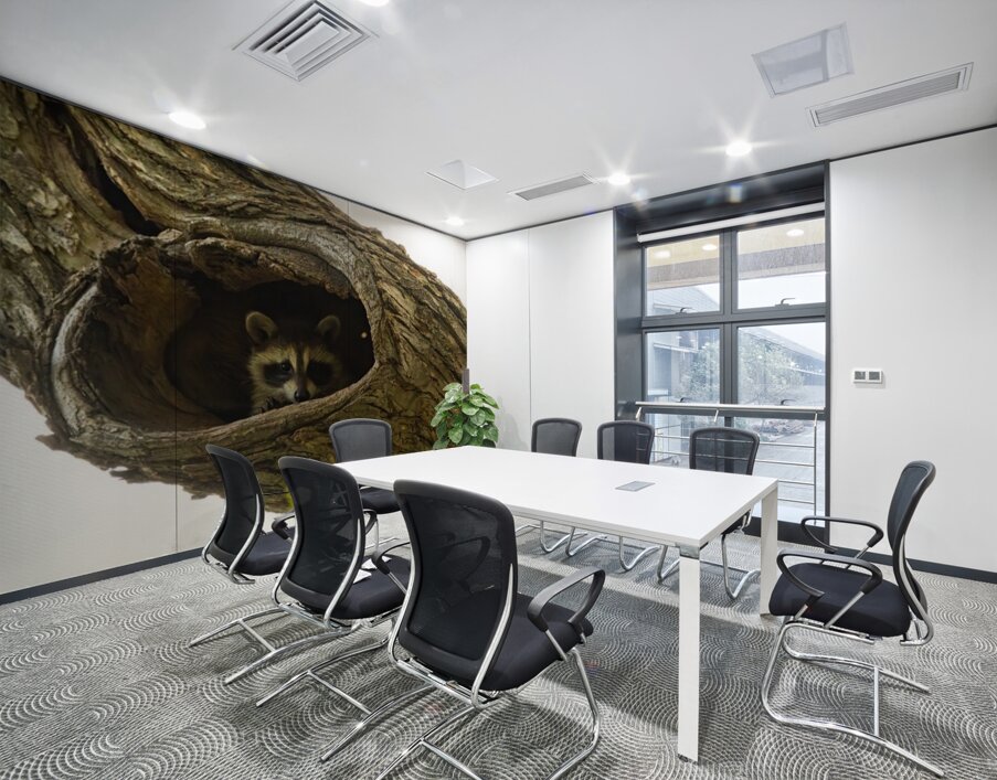 Racoon Wall Printing