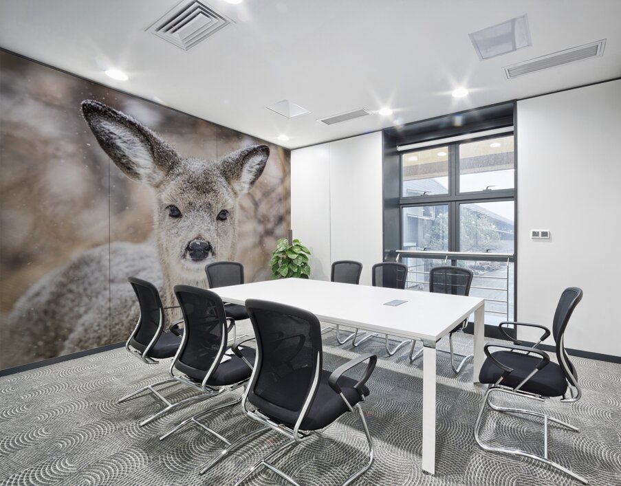 Cute Deer Wall Printing