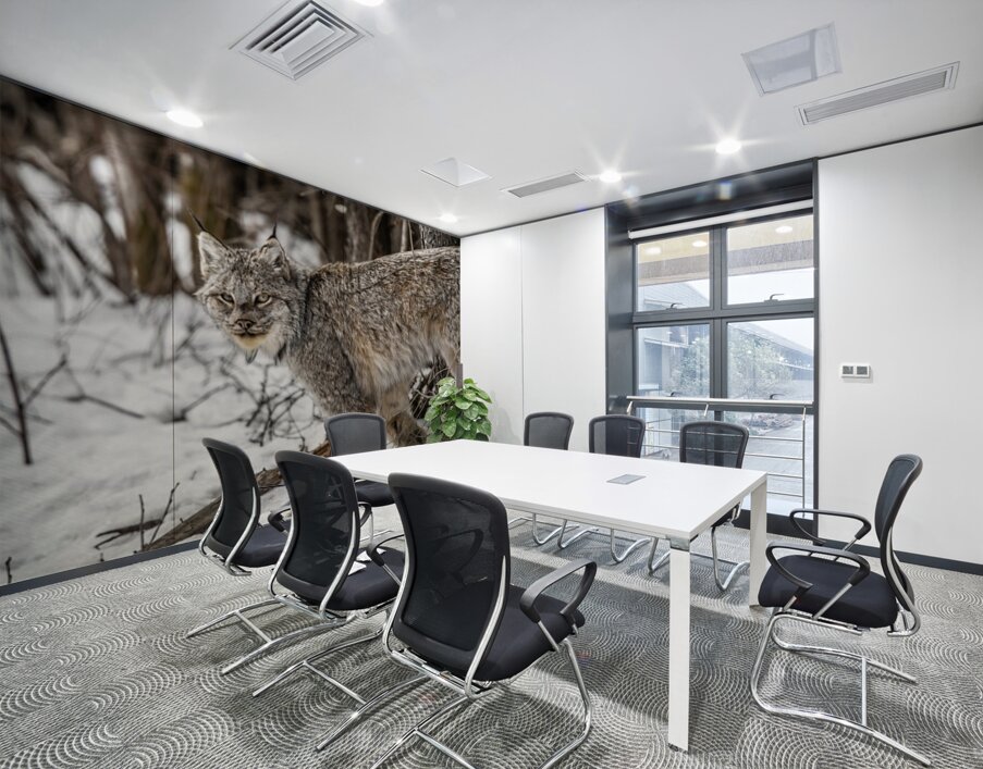 Lynx Wall Printing