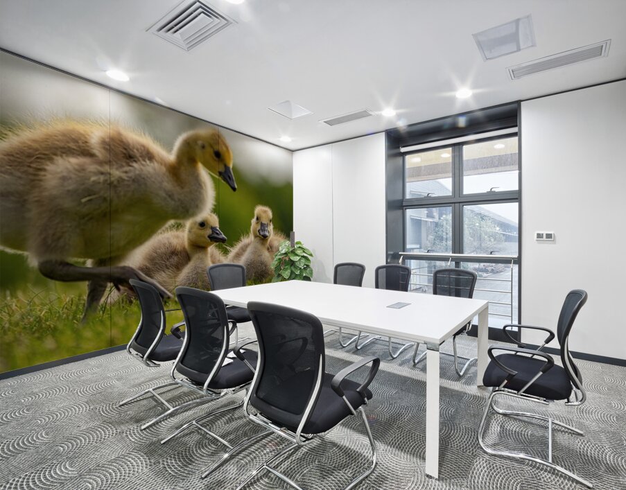 Goslings Wall Printing