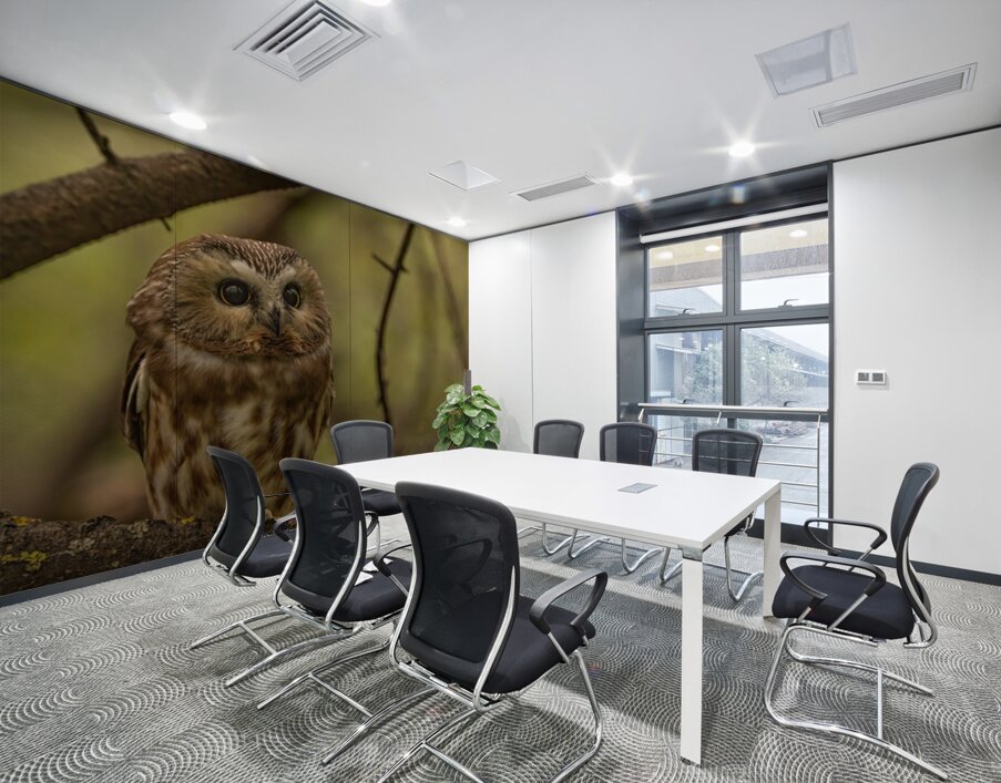 Saw Whet Owl 2 Wall Printing