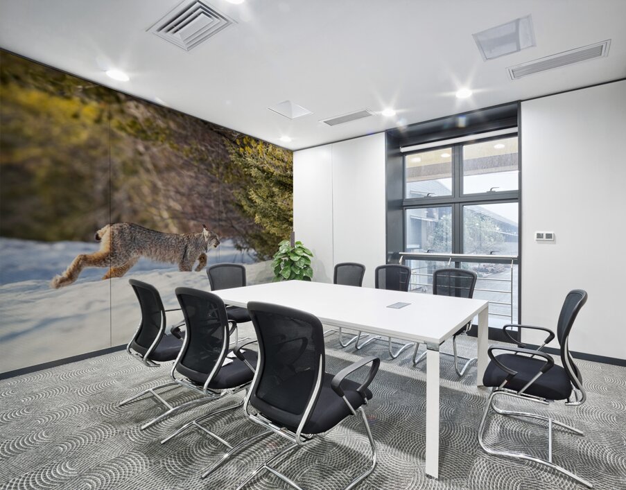 Lynx 3 Wall Printing