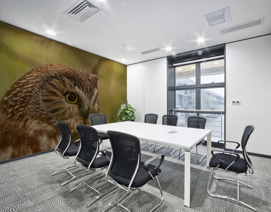 Saw Whet Owl 3 Wall Printing